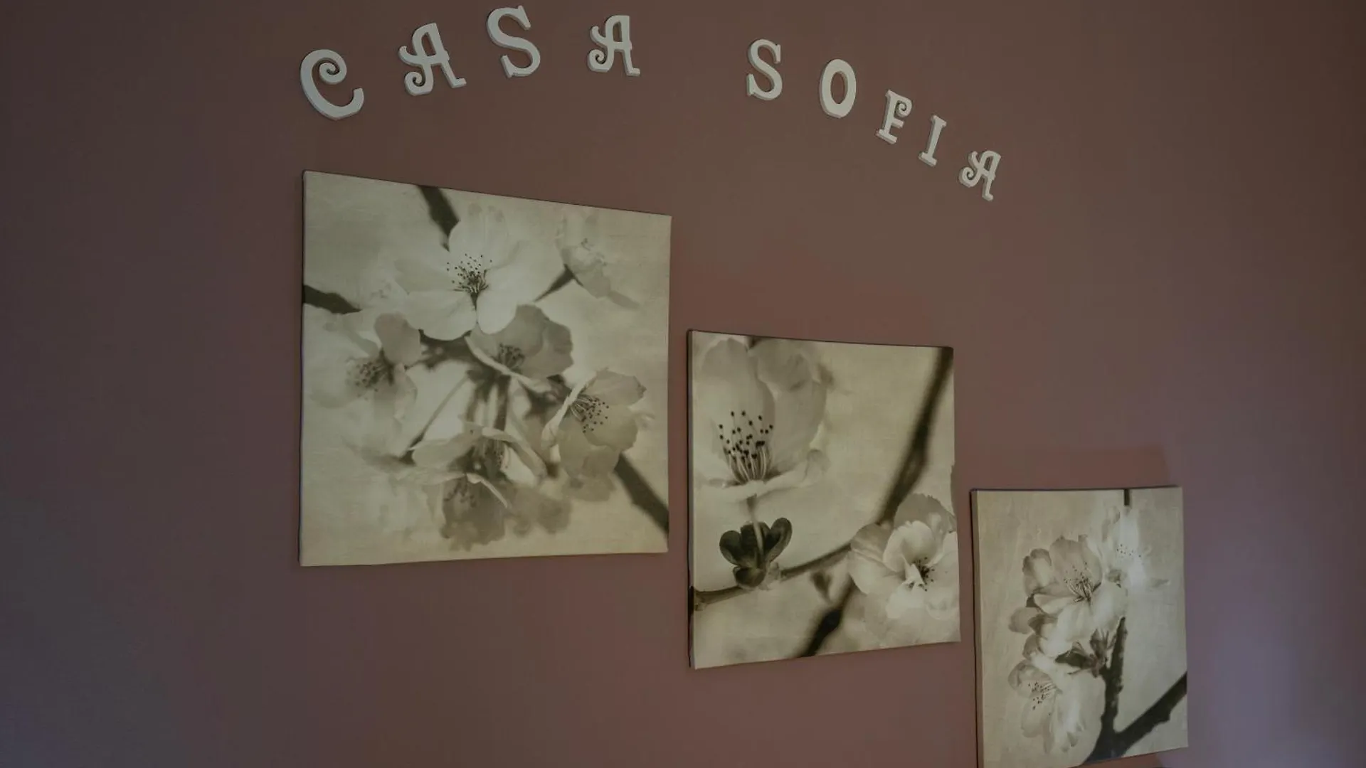 Gasthuis Casa Sofia Hotel Catánia Italië